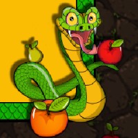 Snake Online Spielen